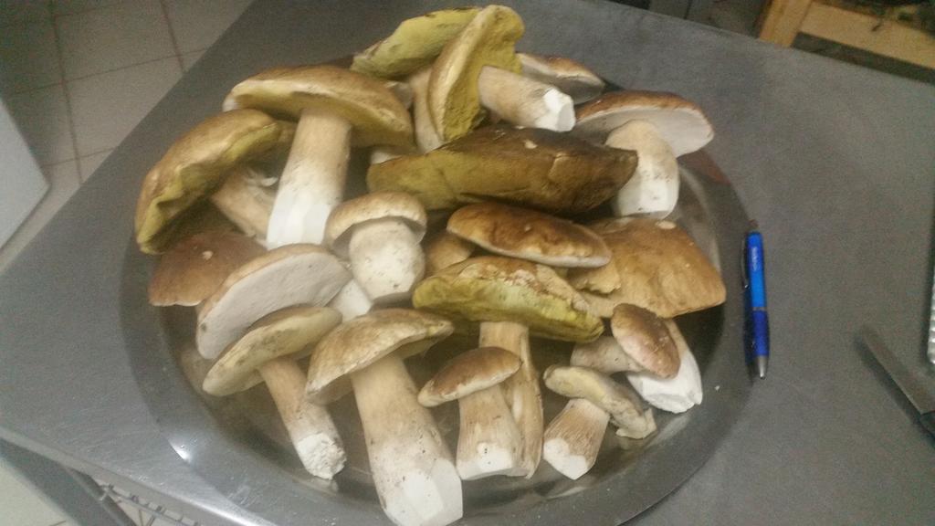 فندق Strážnéفي  Chata Jawa المظهر الخارجي الصورة